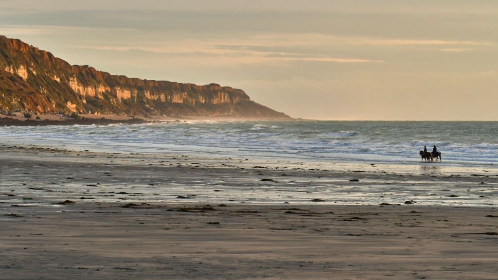 Actualités Normandie paysage Actualités Normandie paysage